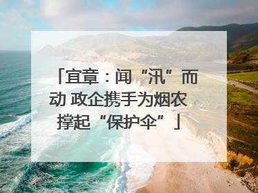 宜章：闻“汛”而动 政企携手为烟农撑起“保护伞”